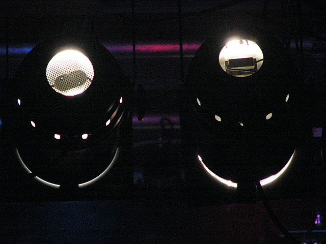 Die_Pigs_051